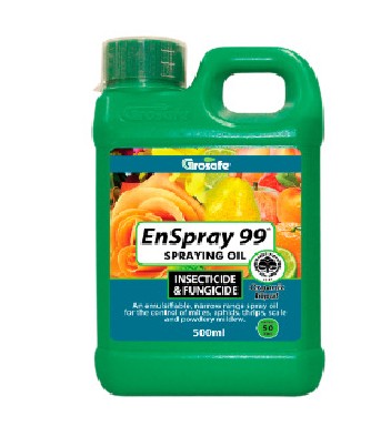 Enspray 99 500ml