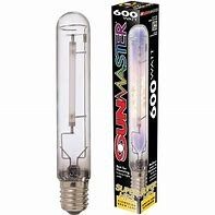 Sunmaster 600w Dual-spectrum Bulb