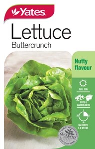 Yates Lettuce Buttercrunch Seeds