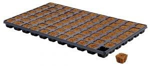 Eazy Plug Tray 77 - Out of stock