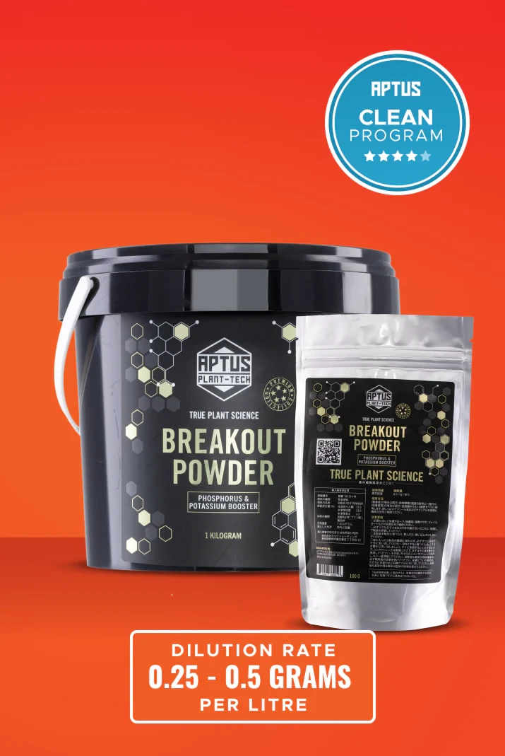 Aptus Breakout Powder 1kg