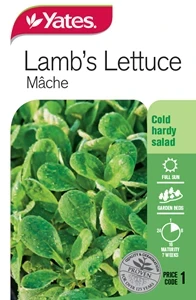 Lamb's Lettuce - Mâche Seeds