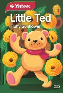 Little Ted Fluffy Sunflower Seeds