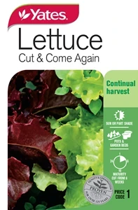 Lettuce - Cut & Come Again Seeds