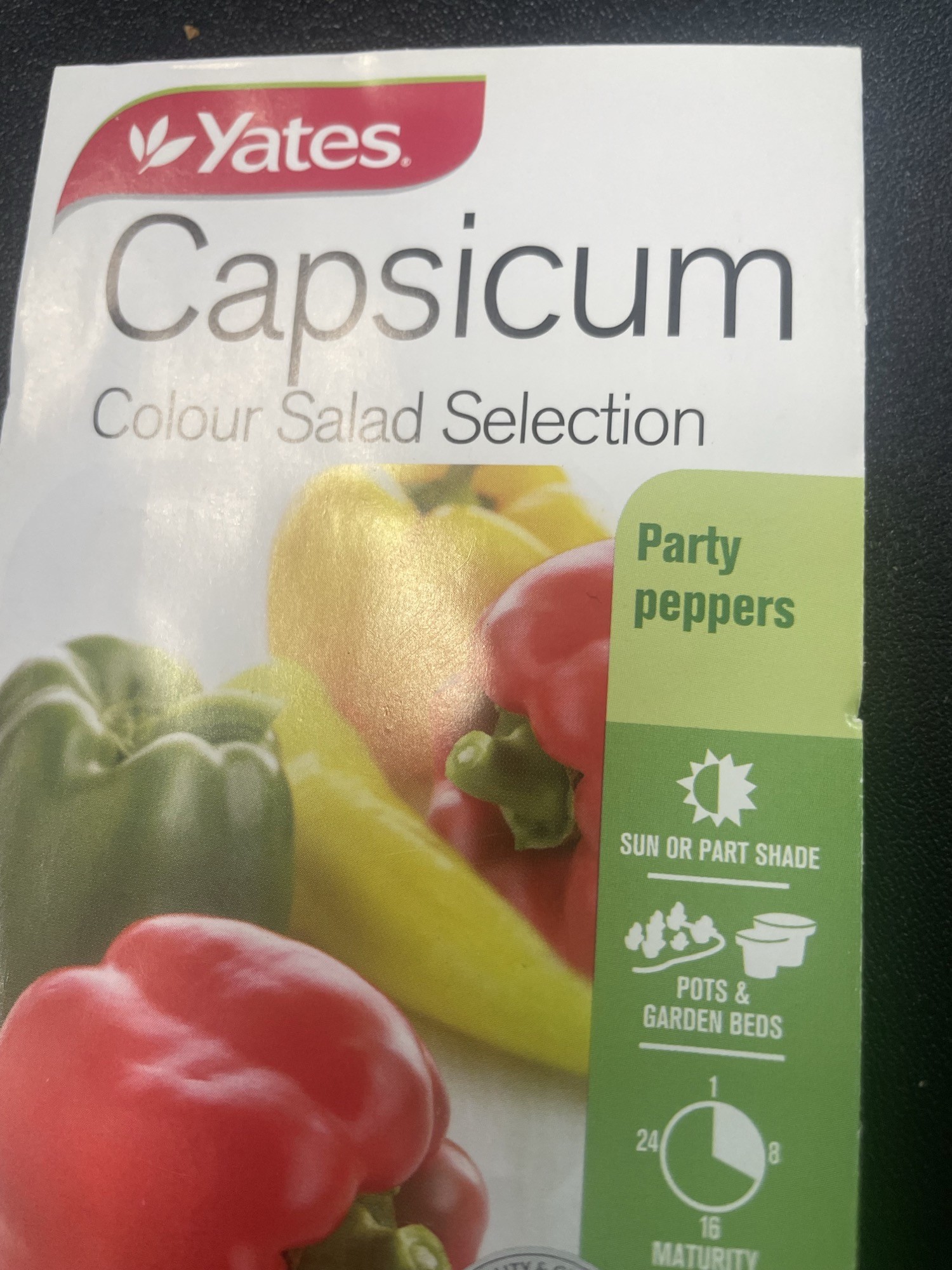 Capsicum - Salad Selection Seeds