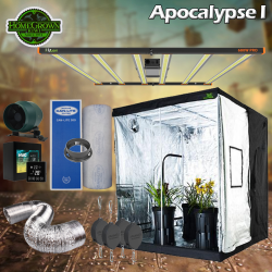 Apocalypse I