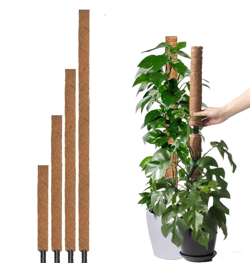 Coco Poles 90cm
