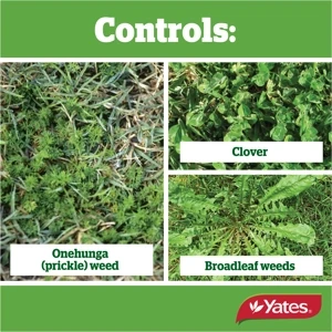 Yates Weed 'n' Feed 4L Hose-on