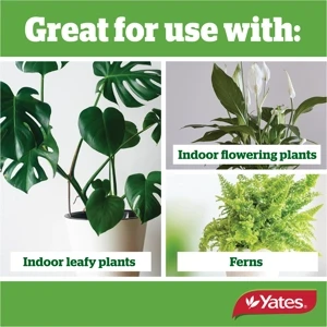 Yates Thrive Indoor Plant Mix - 10L