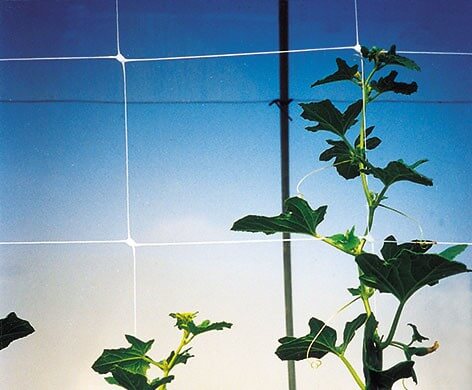 Scrog net 1.0 x 1.2m