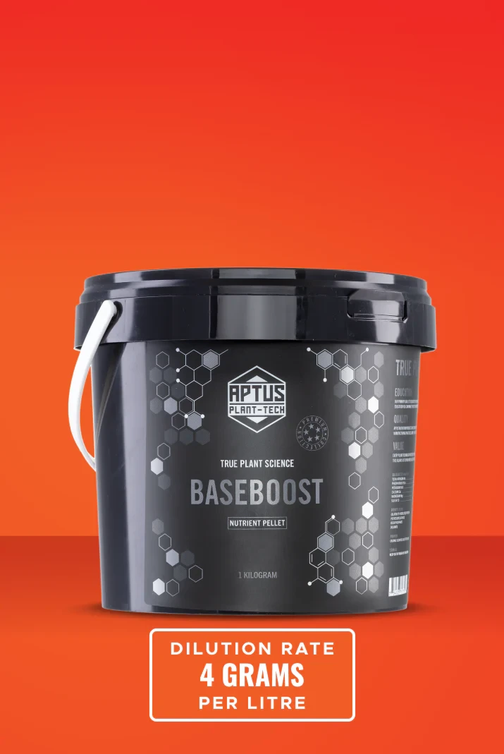 Aptus Baseboost 1kg