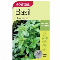 Basil Genovese Seeds