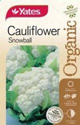 Organic Cauliflower Seeds