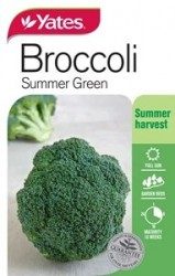 Broccoli Summer Green Seeds