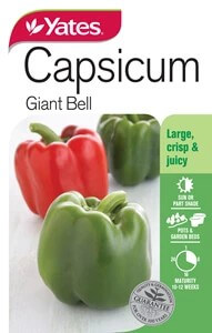 Capsicum - Giant Bell Seeds