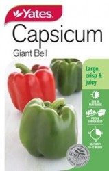 Capsicum Giant Bell Seeds