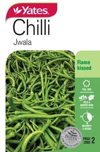 Chilli - Jwala Seeds
