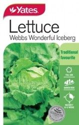 Lettuce Iceberg Seeds