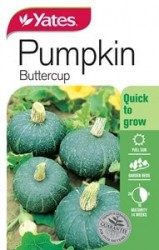 Pumpkin Buttercup Seeds