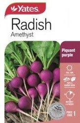Radish Amethyst Seeds