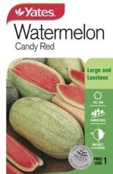 Watermelon Candy Red Seeds
