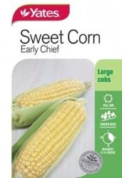 Sweet Corn Early Chief Seeds