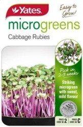 Micro Green Cabbage Rubies